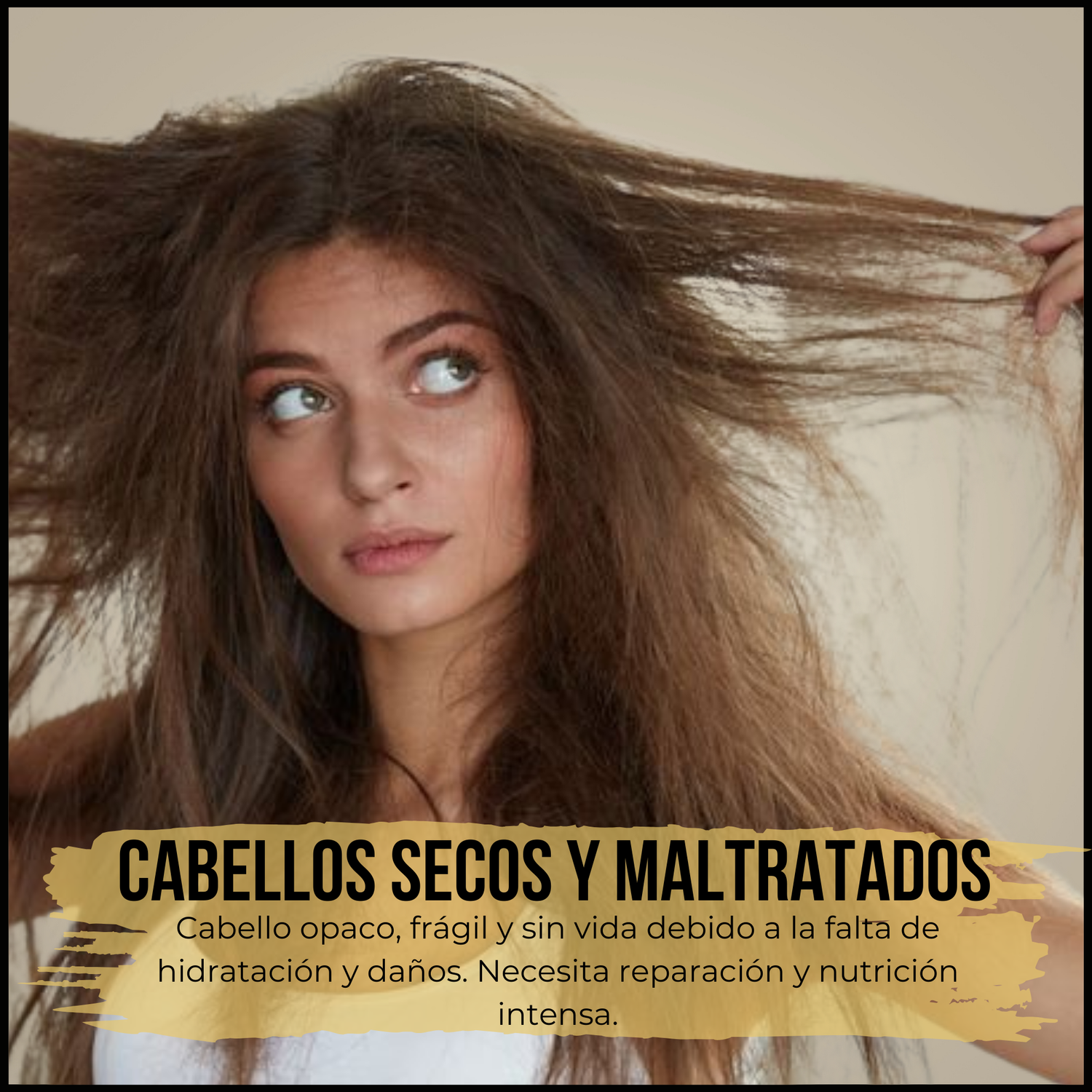 Cabellos Secos y Maltratados