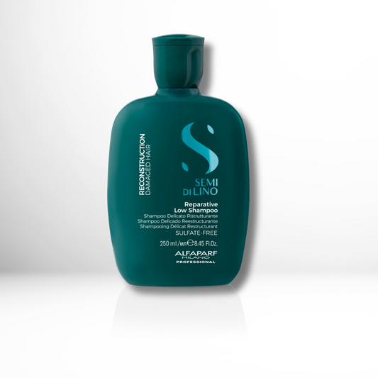 Reparative Shampoo 250 ml - ALFAPARF SEMI DI LINO